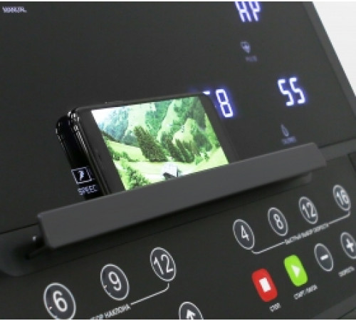 Беговая дорожка BRONZE GYM T930M PRO