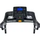 Беговая дорожка Titanium Masters Physiotech TLF