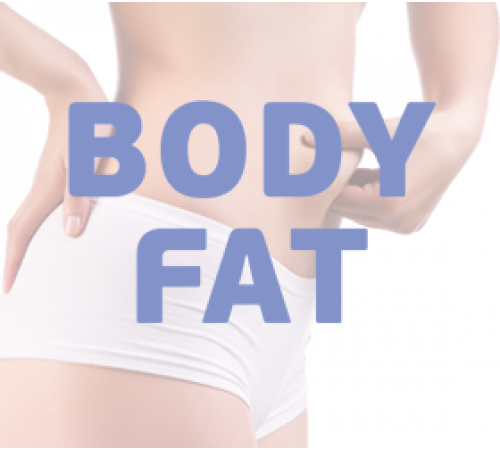 Эллиптический тренажер OXYGEN CARIBA III EL EXT