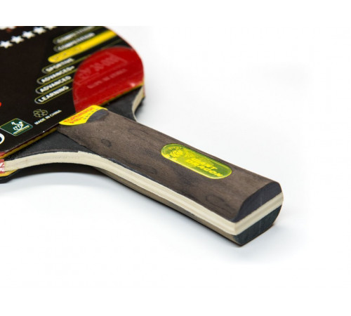 Теннисная ракетка Dragon Topenergy 5 Star New (анатомическая)