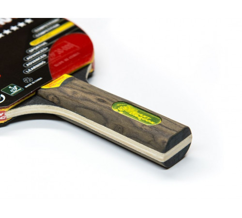 Теннисная ракетка Dragon Topenergy 5 Star New (прямая)