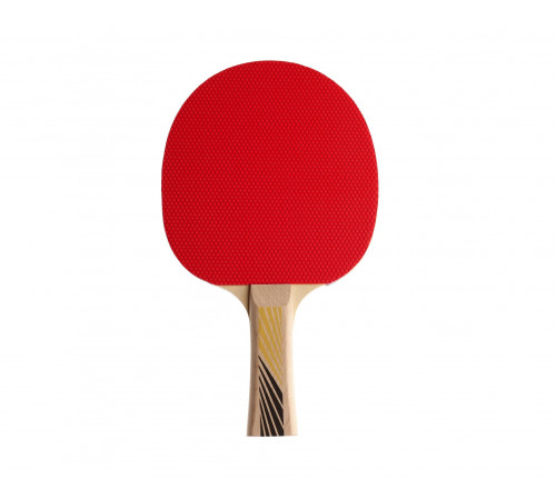 Ракетка DONIC LEGENDS 200