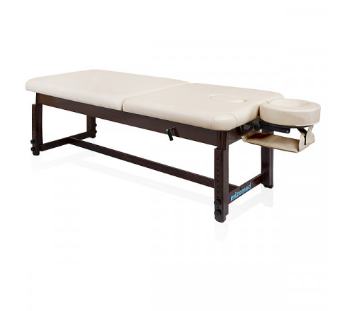 Массажный стационарный стол Essence-Tilt SET3S30+H